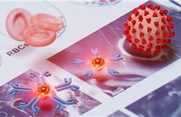Xét nghiệm &#39;nano vàng&#39; giá rẻ giúp phát hiện bệnh chết người qua một giọt máu