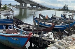 Chỉ đạo của Ban Bí thư về ứng phó với cơn bão số 5 (Kajiki)