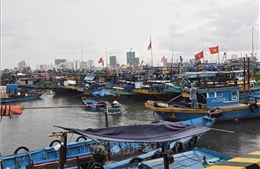 Ứng phó bão số 5: Chủ động di chuyển phương tiện tránh khỏi khu vực nguy hiểm