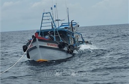 Liên tiếp phát hiện các vụ vận chuyển dầu D.O trái phép