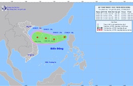 Từ Quảng Ninh đến Khánh Hòa chủ động ứng phó với áp thấp nhiệt đới