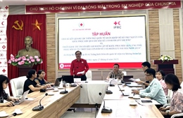 Khởi động giai đoạn II dự án cứu trợ khoảng 35.000 người dân bị thiệt hại do bão 