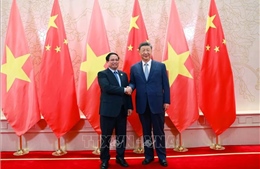 Thủ tướng hội kiến Tổng Bí thư, Chủ tịch nước Trung Quốc Tập Cận Bình 