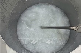 Bắt hai đối tượng sản xuất yến chưng giả
