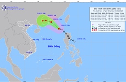 Từ Quảng Ninh đến Đắk Lắk chủ động ứng phó với bão số 8