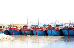 Chống khai thác IUU: Quyết liệt xử lý tàu cá &#39;3 không&#39;