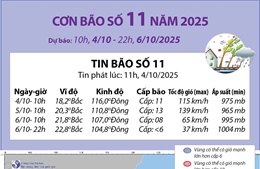 Đường đi của bão số 11 năm 2025