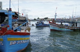 Khắc phục &#39;thẻ vàng&#39; IUU: Gia Lai cấm tàu cá không đủ các loại giấy tờ xuất bến