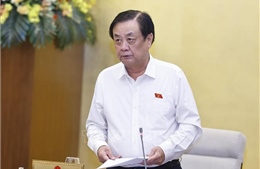 Quy định chi tiết tiêu chí khoanh định khu vực không đấu giá quyền khai thác khoáng sản