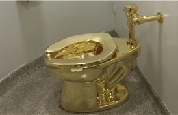 Cơ hội sở hữu chiếc bồn cầu đắt giá nhất hành tinh