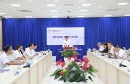 Điện lực miền Trung họp khẩn ứng phó bão số 13