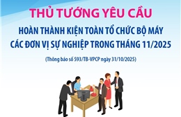 Thủ tướng yêu cầu kiện toàn tổ chức bộ máy các đơn vị sự nghiệp trong tháng 11/2025