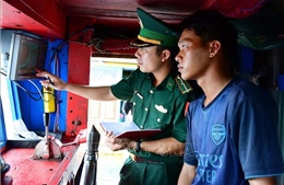 Xử lý 5 tàu cá có dấu hiệu vi phạm các quy định về khai thác hải sản