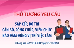 Thủ tướng yêu cầu sắp xếp, bố trí cán bộ, công chức, viên chức bảo đảm đúng vị trí việc làm