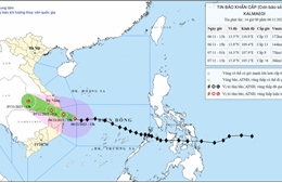 Dự báo Bão số 13 duy trì cường độ mạnh nhất trong khoảng 4-6 giờ tới