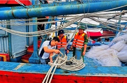 Đà Nẵng: Di dời người dân tới nơi an toàn trước 12 giờ ngày 6/11