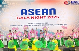 Tinh thần ASEAN thắp sáng đêm hội văn hóa nghệ thuật, ẩm thực tại Singapore