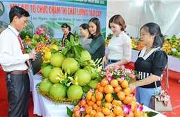 Sắp diễn ra Lễ hội trái cây Bắc Ninh năm 2025