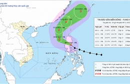 Dự báo ngày 10/11, bão FUNG-WONG giảm cường độ đi vào khu vực Bắc Biển Đông