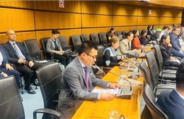 Việt Nam cam kết vì một thế giới không còn thử vũ khí hạt nhân