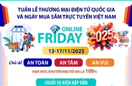 Tuần lễ Thương mại điện tử quốc gia và Ngày mua sắm trực tuyến Việt Nam 