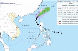 Bão số 14, tiếp tục đổi hướng, di chuyển chậm trước khi suy yếu