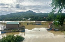 Rủi ro với nghề nuôi cá lồng trên lòng hồ thủy điện