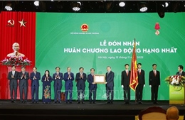 Ngành Nông nghiệp và Môi trường đã trở thành nhân tố quan trọng trong kỷ nguyên phát triển mới