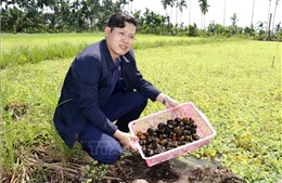 Khởi nghiệp từ những ao hồ hoang hóa ở quê hương Lâm Đồng