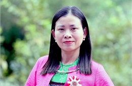 Chính sách bảo đảm môi trường cần bao trùm hơn nữa