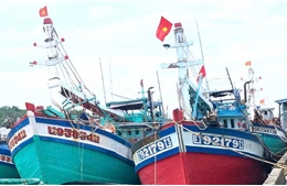 Vĩnh Long hoàn thành cấp phép hoạt động cho tàu cá đủ điều kiện