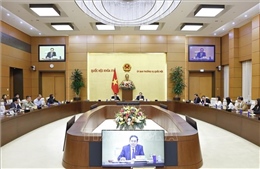 Chủ tịch Quốc hội dự Phiên họp thứ hai của Ban Tổ chức Diễn đàn về xây dựng pháp luật 