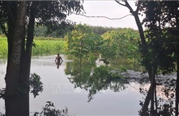 Hàng chục hecta hoa màu bị ngập do mưa lớn và xả lũ hồ Sông Ray