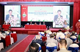 Hội nghị khoa học ngoại khoa và phẫu thuật nội soi toàn quốc 2025