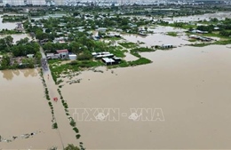 Mưa lũ làm 10.055 ha lúa, hoa màu bị thiệt hại