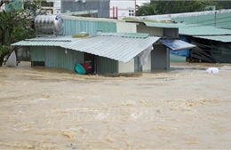 Các tỉnh Gia Lai, Đắk Lắk, Khánh Hòa vẫn ngập lụt diện rộng dù mưa giảm, lũ xuống
