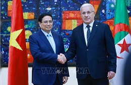 Truyền thông Algeria tiếp tục đưa tin đậm nét về hoạt động của Thủ tướng Phạm Minh Chính