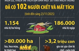 Đã có 102 người chết và mất tích (tính đến sáng 23/11/2025) trong mưa lũ