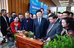 Hình thành các chuỗi giá trị nông sản, xây dựng nền nông nghiệp xanh, sạch