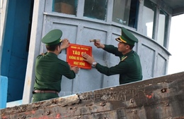 Quảng Ngãi quyết tâm xây dựng nghề cá có trách nhiệm