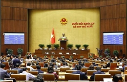 Thông qua 4 Luật trong lĩnh vực tương trợ tư pháp