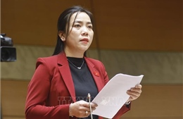 Phân cấp quy hoạch mạnh mẽ cần đi kèm cơ chế điều phối