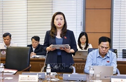 Chi tối thiểu 20% ngân sách Nhà nước cho giáo dục - phải có &#39;trọng tâm, trọng điểm&#39;