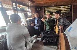 Hai tàu cá ở Quảng Trị bị lập hồ sơ xử phạt vì mất tín hiệu giám sát hành trình