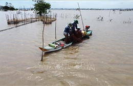 Biến vùng đất mặn thành vựa nông, thủy sản