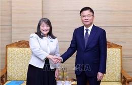 Phó Thủ tướng Lê Thành Long tiếp Giám đốc UNICEF khu vực Đông Á – Thái Bình Dương