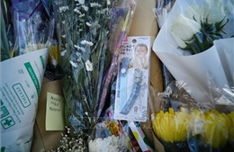 Vụ cháy chung cư ở Hong Kong (Trung Quốc) khiến ít nhất 146 người tử vong