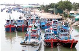 Ứng phó bão số 15: Hơn 360 tàu thuyền đã được hướng dẫn neo đậu an toàn