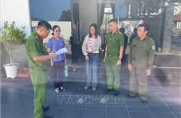 Bắt giam nữ nhân viên tham ô nhiều tỷ đồng