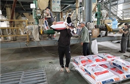 Giữ nhịp phát triển kinh tế công nghiệp sau thiên tai - Bài 1: Vượt qua bão lũ